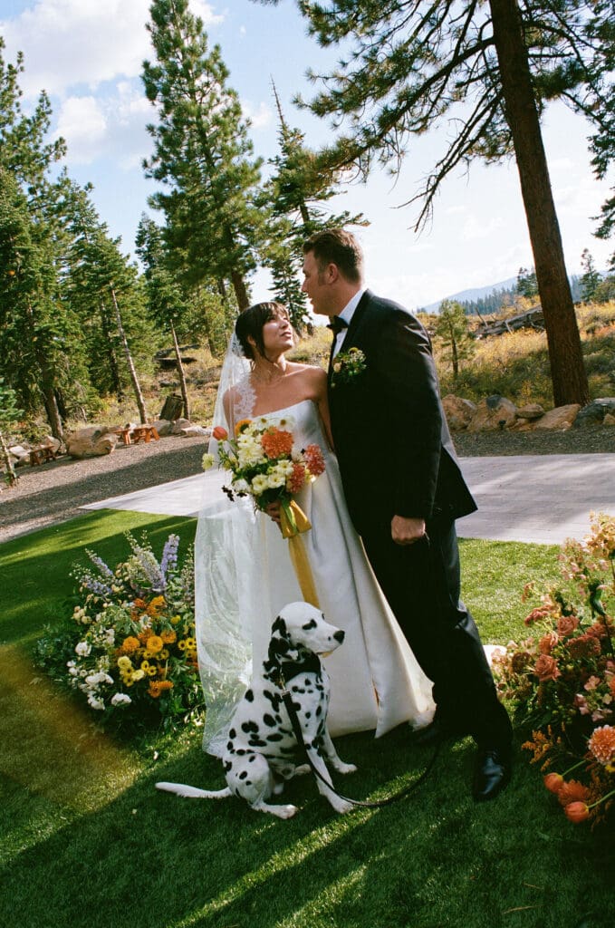 stunning bridal portraits