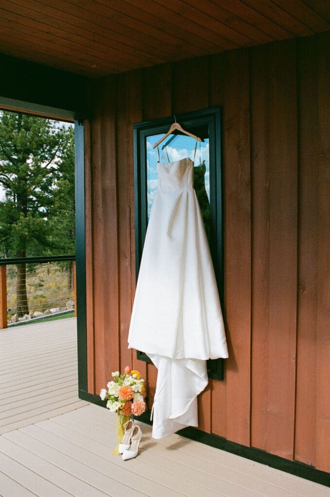 stunning Picture of the wedding dress